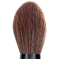 Powder Brush